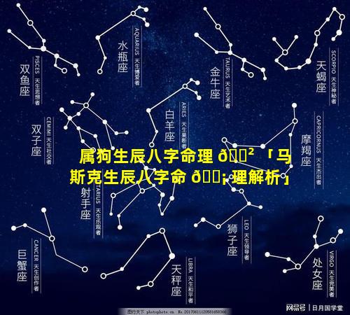 属狗生辰八字命理 🌲 「马斯克生辰八字命 🐡 理解析」